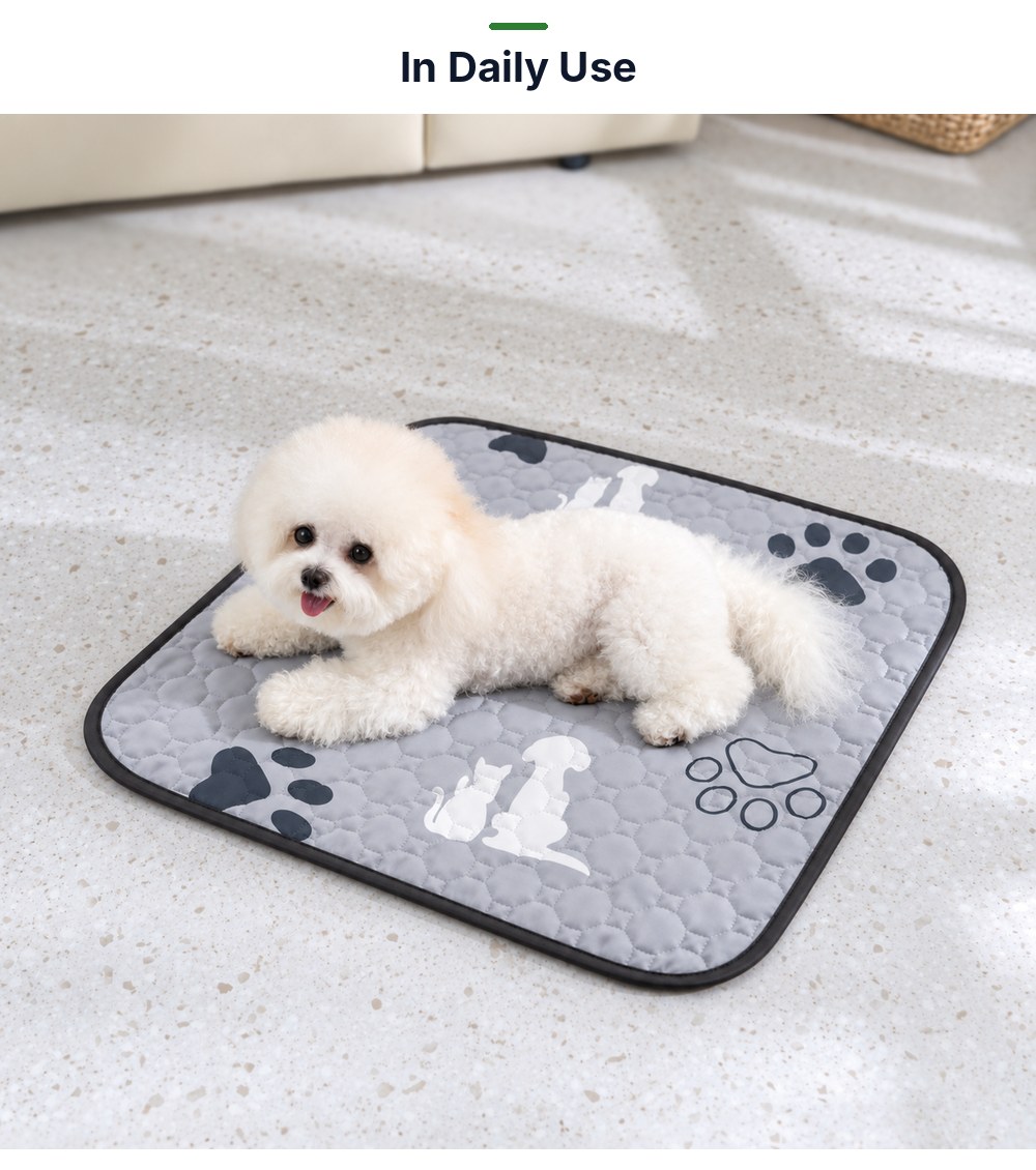 P01 washable pet pad in daily use
