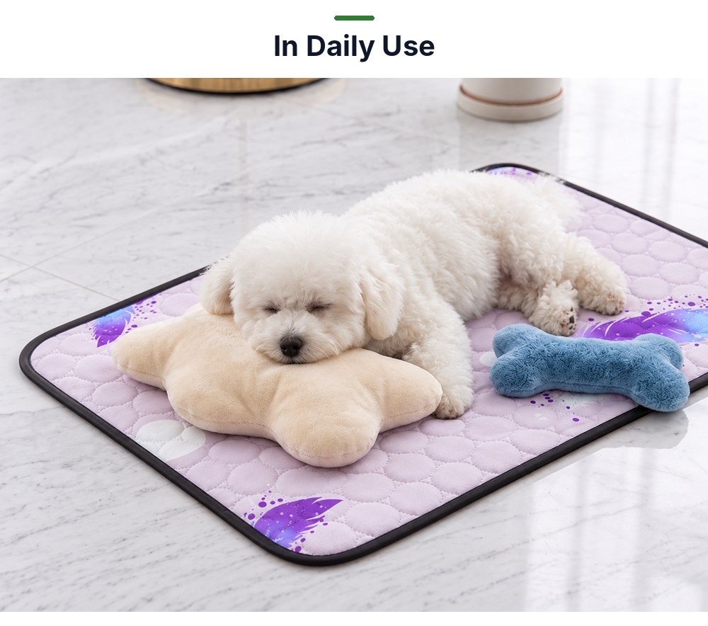 P02 washable pet pad in daily use