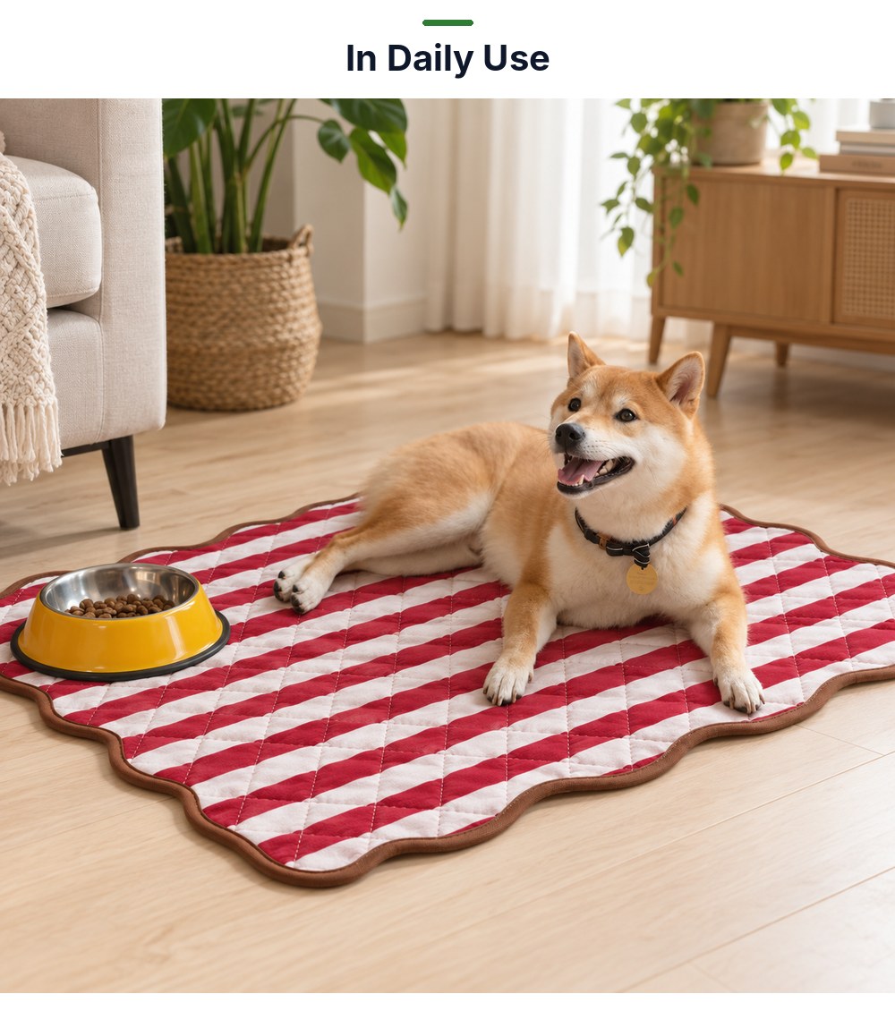 P03 washable pet pad in daily use