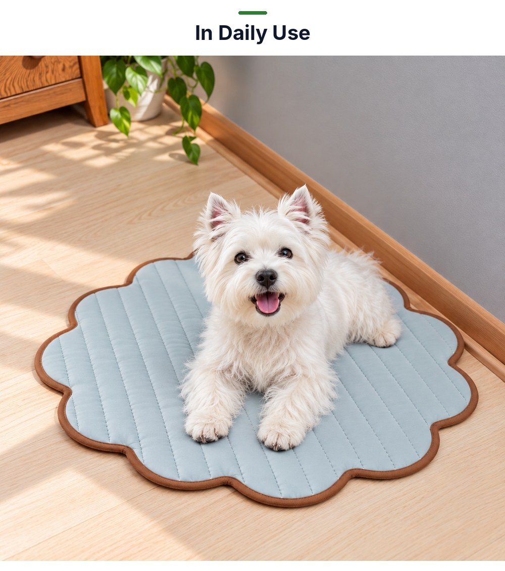 P04 washable pet pad in daily use