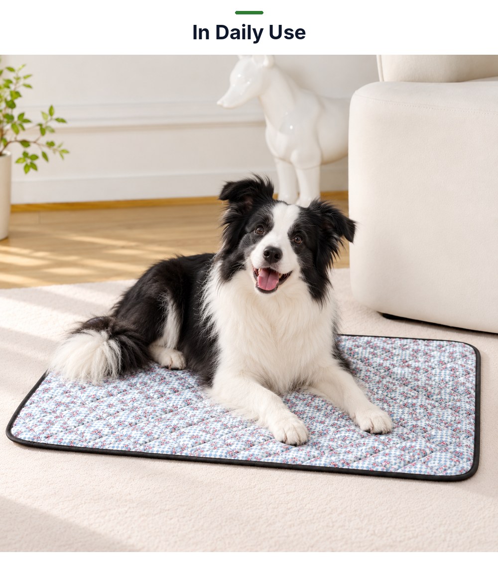 P05 washable pet pad in daily use