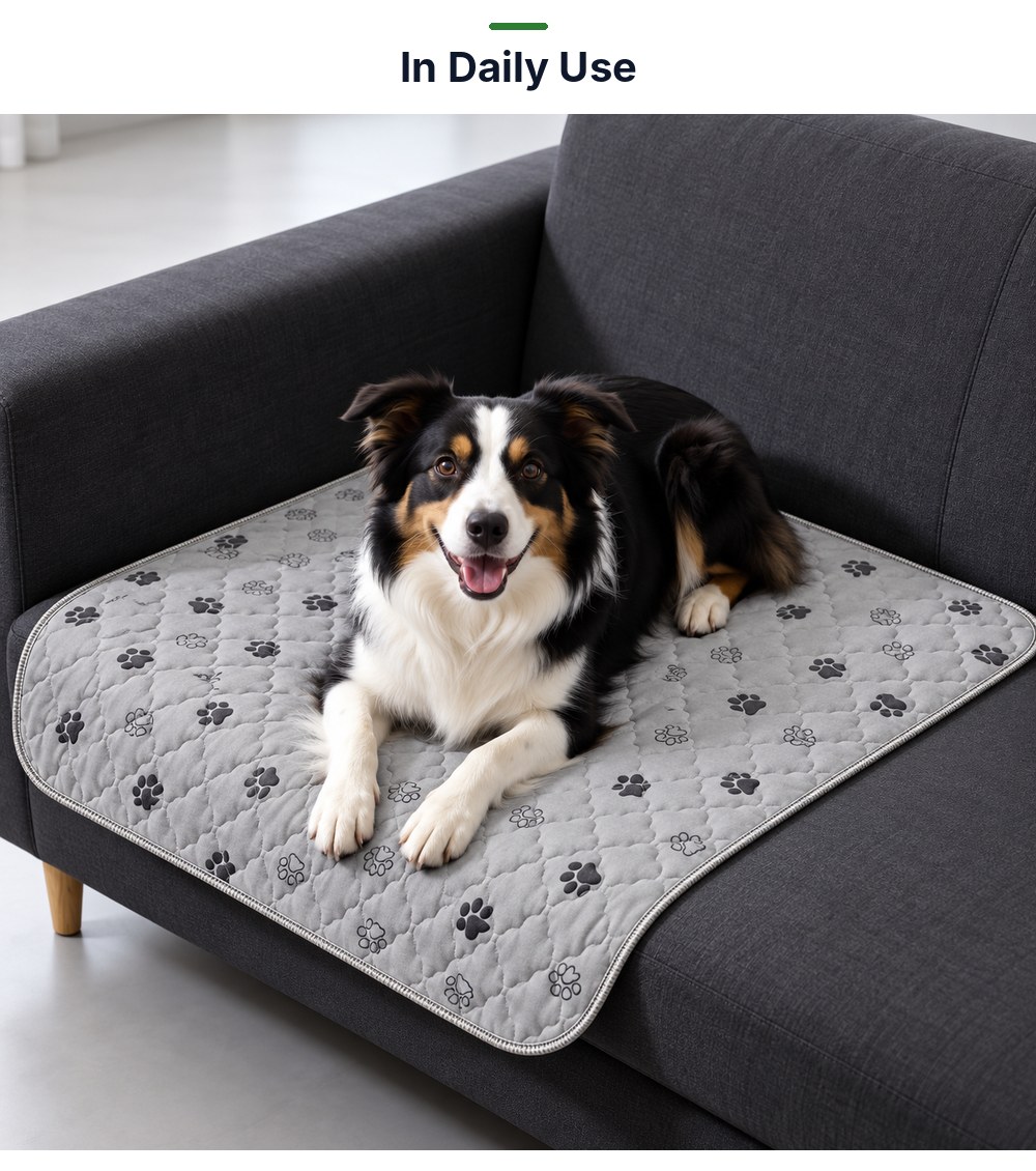 P06 washable pet pad in daily use