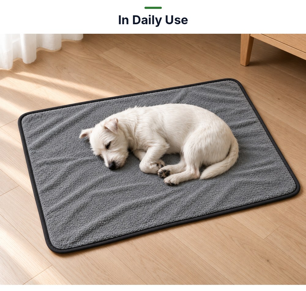 P08 washable pet pad in daily use